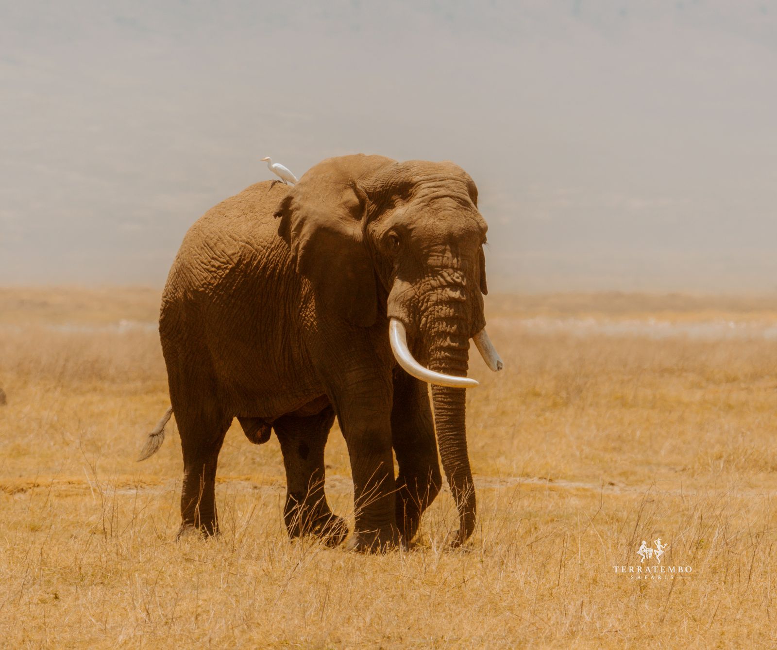 Tanzania